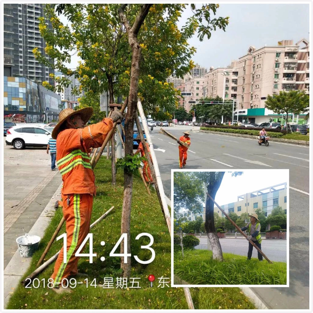 粤中环保